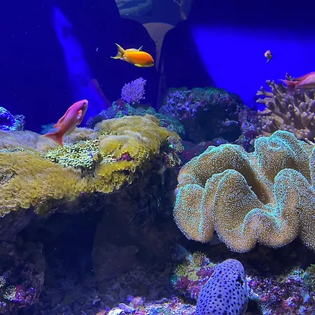 Le Clos De La Pommeraie Maisonnette Dom wakacyjny *